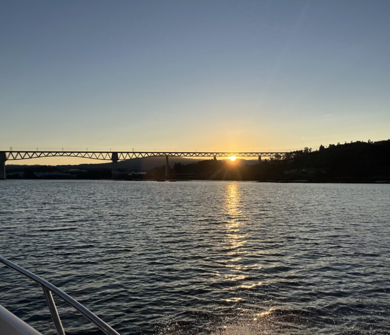 Puente del AVE en Catoira al amanecer, sobre el Río Ulla