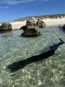 Arena, rocas y algas en la Isla de Areoso